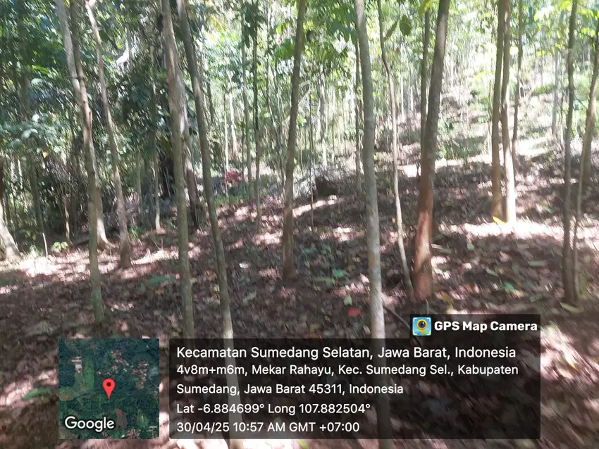 Tanah kebun lt 2 ha, ciherang sumedang sellatan