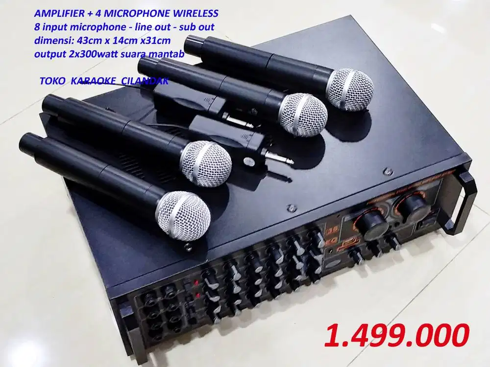 AMPLIFIER KARAOKE 3000 + 2MIC WIRELESS usb - sd card - efek echo - mp3