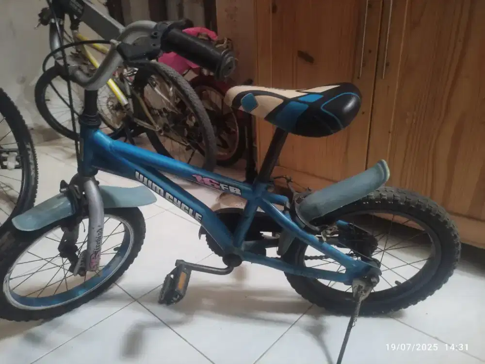 Sepeda anak-anak warna biru