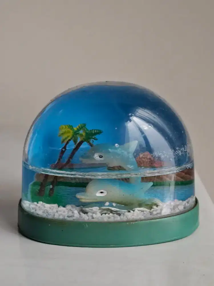 Akuarium kecil dekorasi pajangan rumah