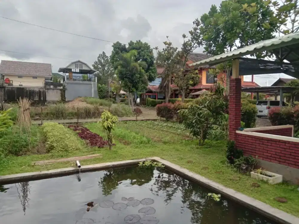 Di jual Cepat Sebidang tanah dibawah NJOP