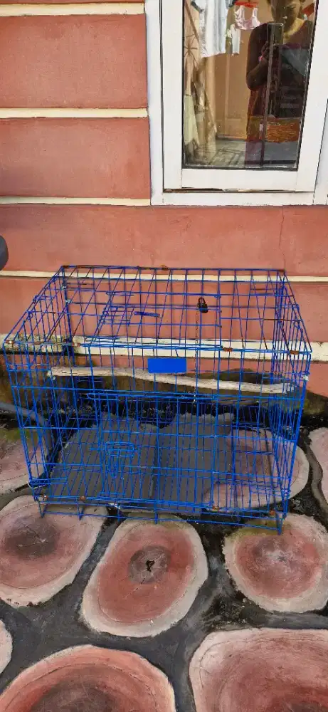 Dijual kandang burung