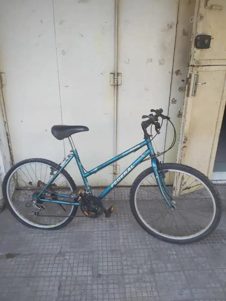 selpeda federal stray cat original