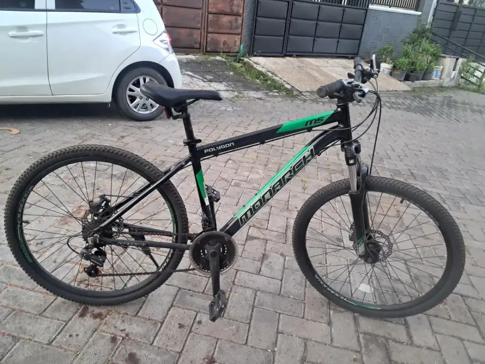Mtb Polygon Monarch M5