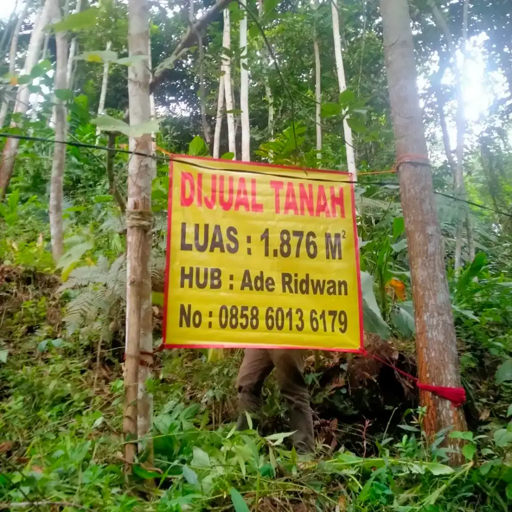 Di jual kebun Alba