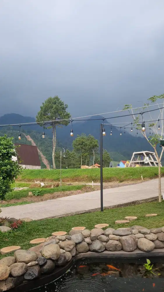 Jual Tanah SHM 1000 Mdpl View Danau Panoramic Highland Bogor