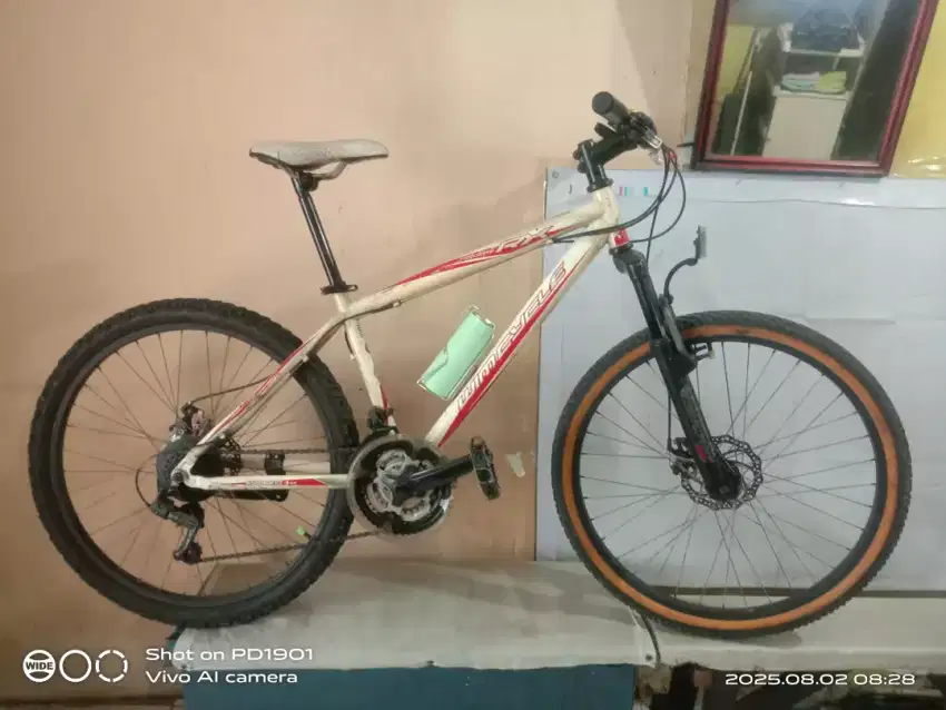 WIM CYCLE RX (DOUBLE CAKRAM)