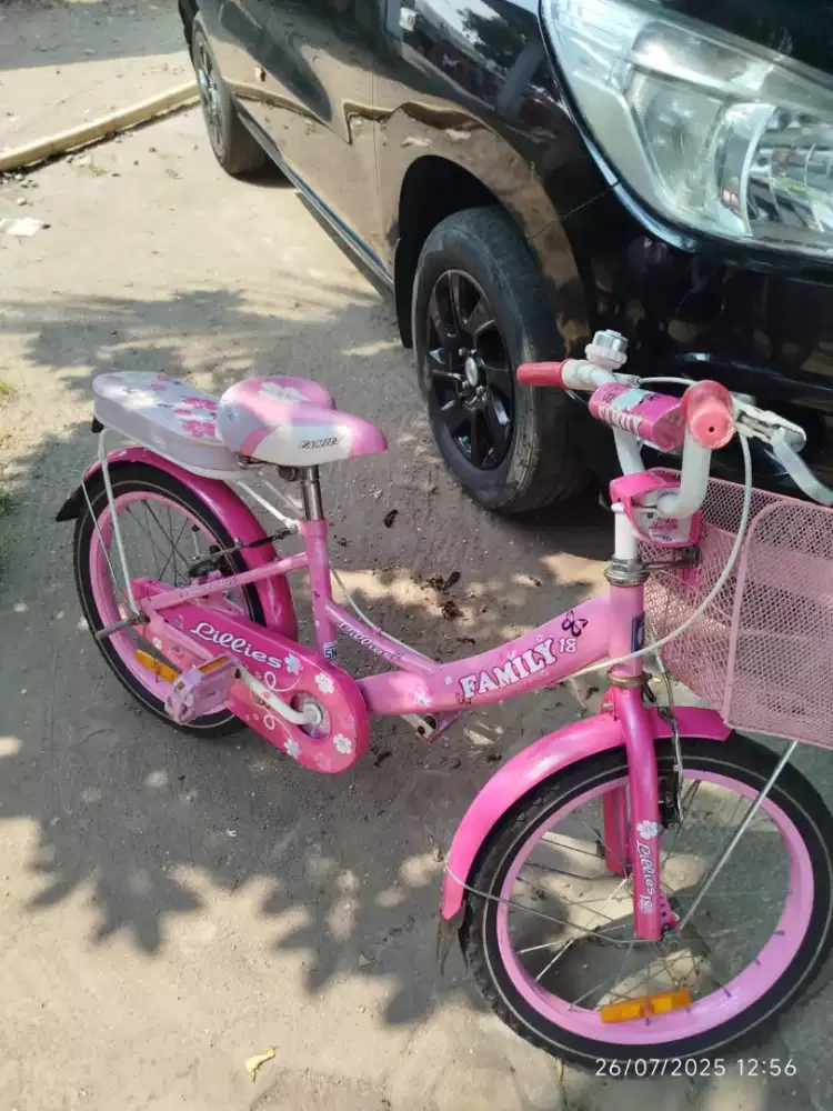 sepeda anak family original uk 18 muluss