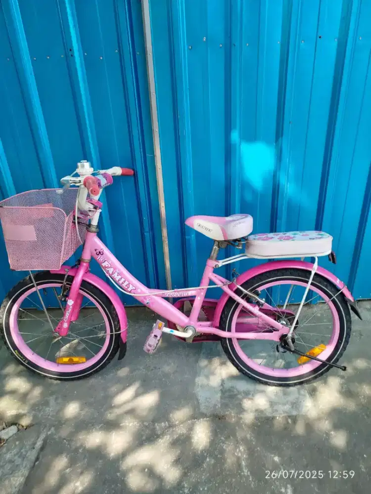 sepeda anak family original uk 18 muluss