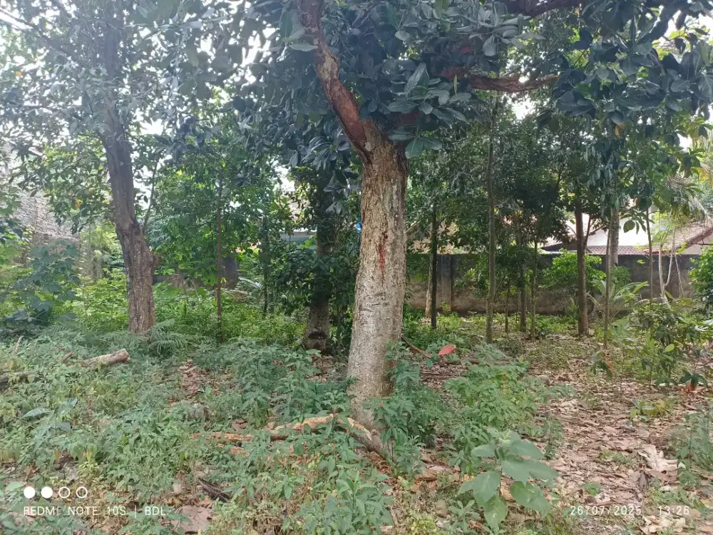 Tanah Pinggir Jalan Kota Bandar Lampung