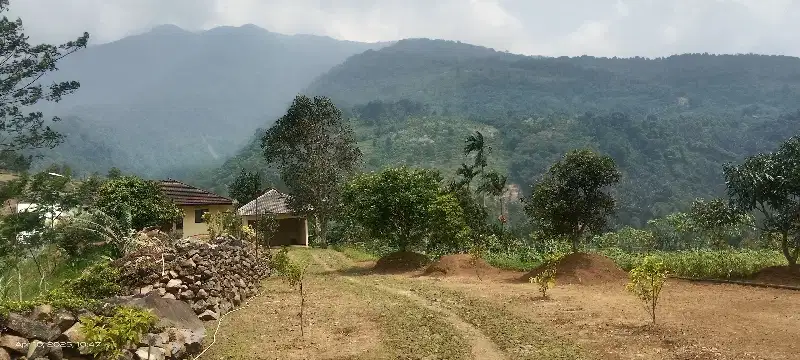 Dijual Lahan Rumah Kebun di kaki Gunung Salak Cijeruk/Cigombong Bogor