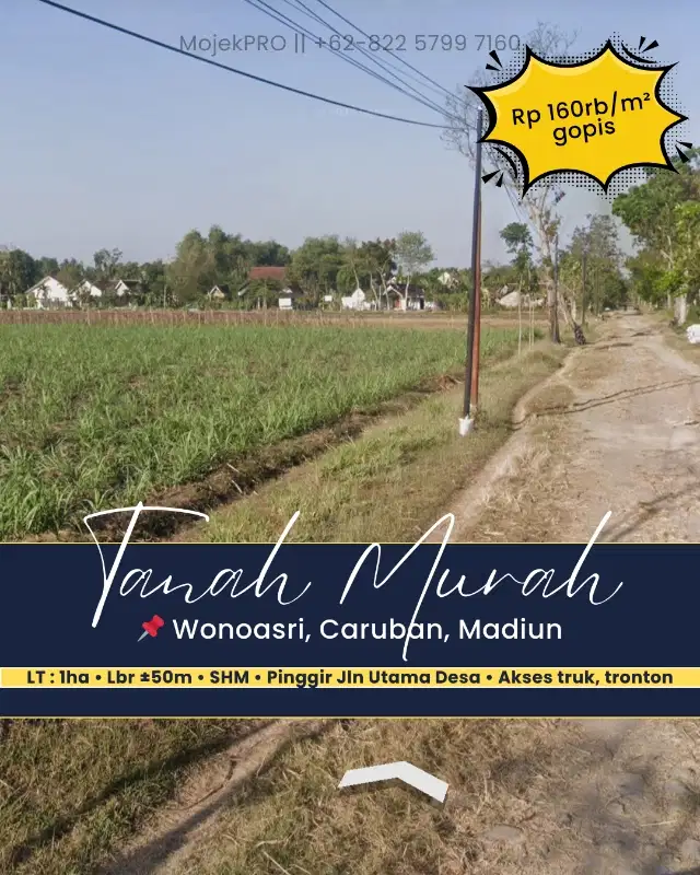Tanah Sawah Murah di Wonoasri, Caruban