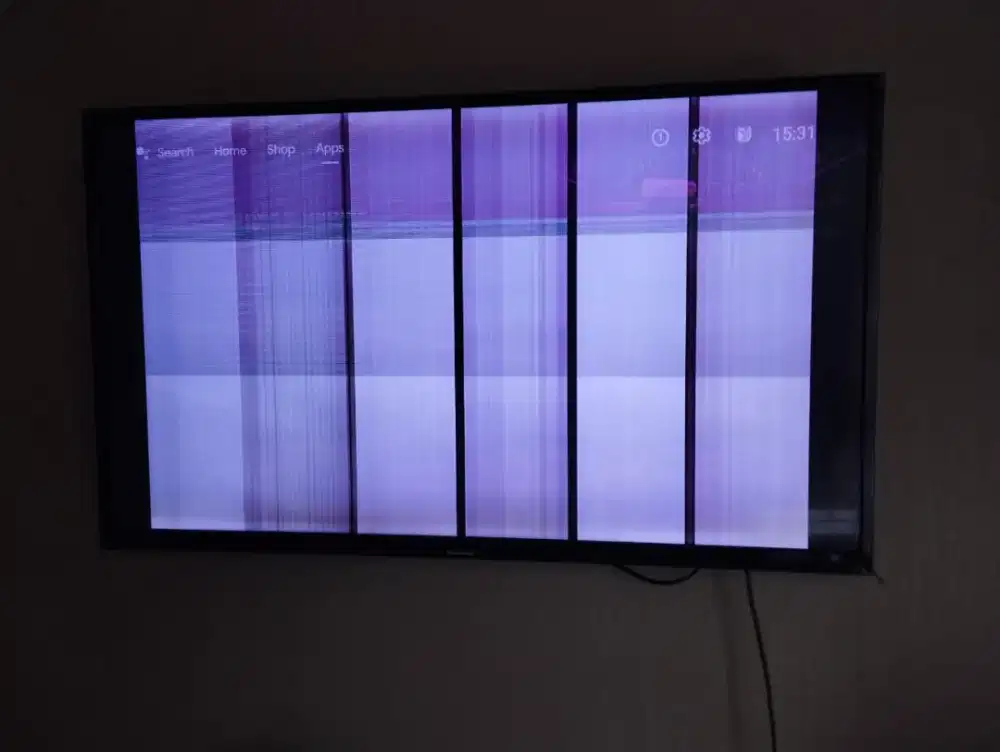 TV Panasonic 43 Inch (Rusak)