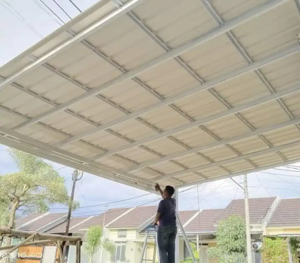 Canopy alderon dll by