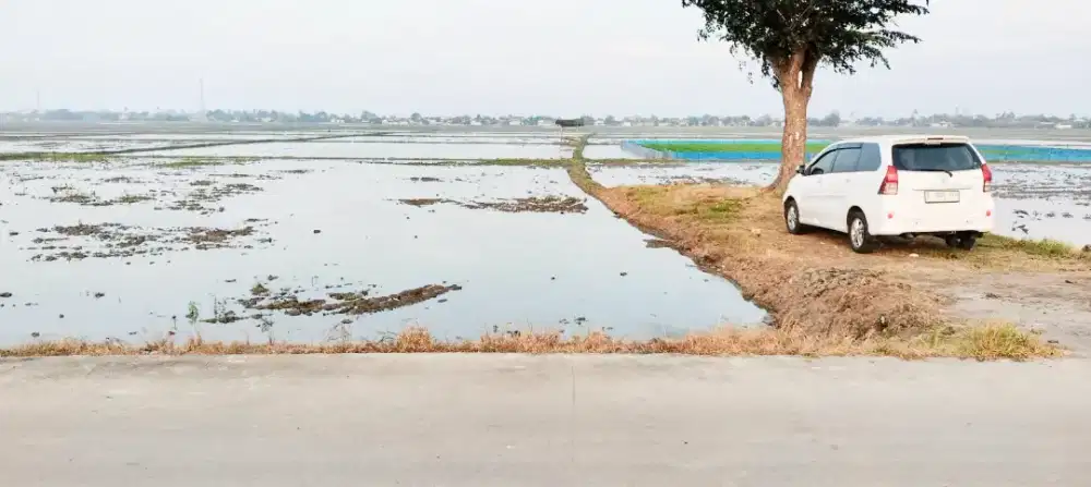 DI JUAL TANAH SAWAH DI KUTAWALUYA RENGAS DENGKLOK KAB KARAWANG