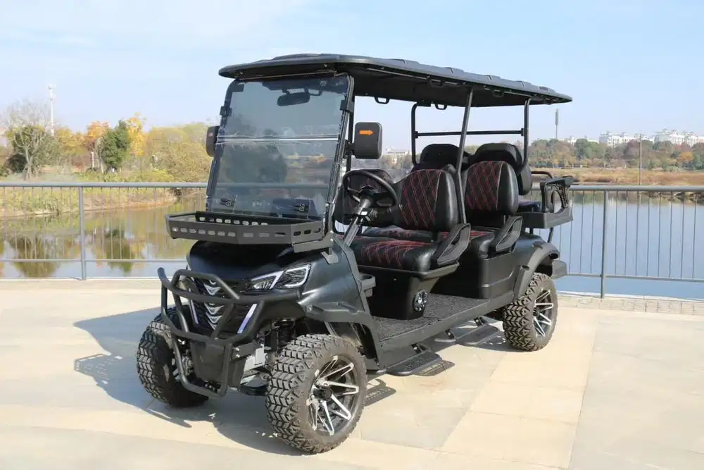 Buggy car new 4+2 model lift kit