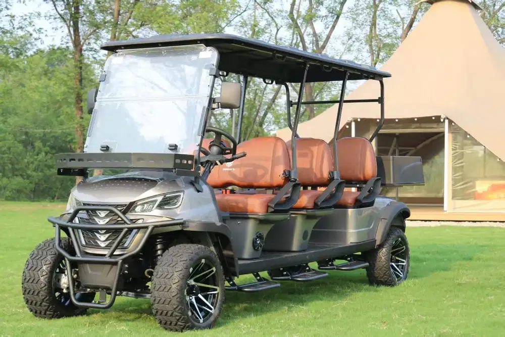 Buggy car golf car 6 seat FF new