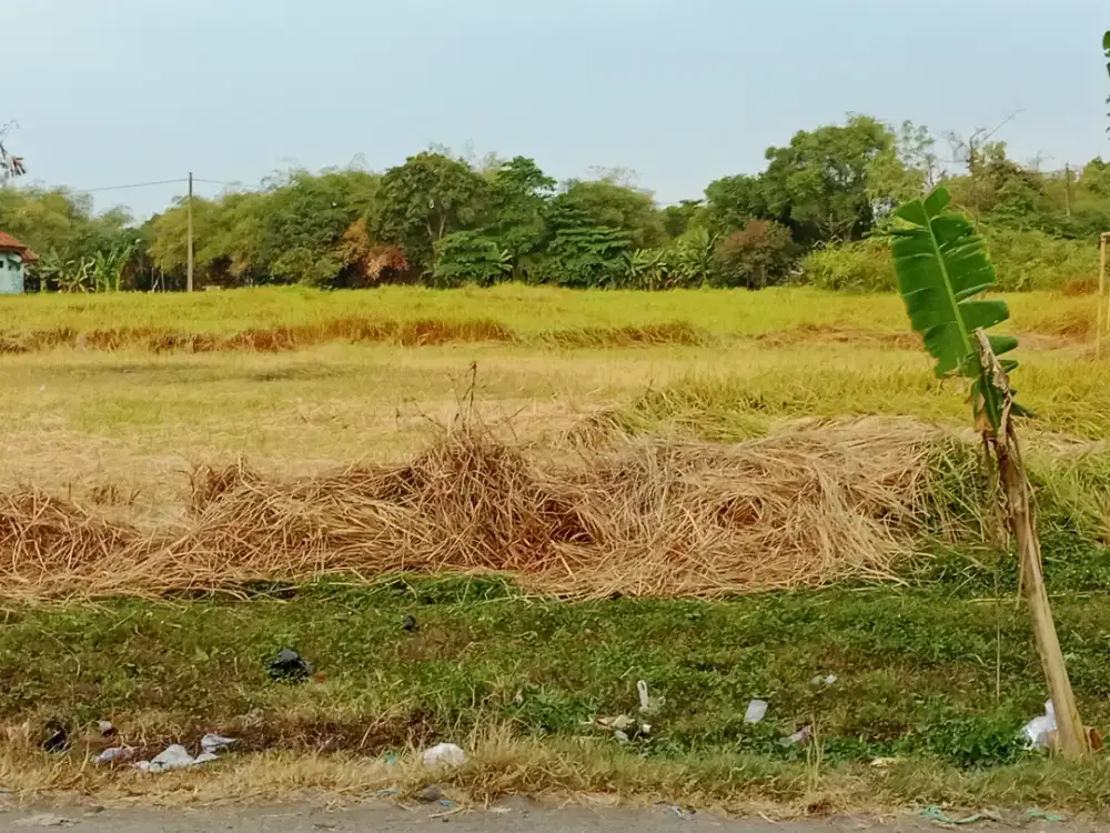 Tanah 5000 Kwsn Industri Plumbon