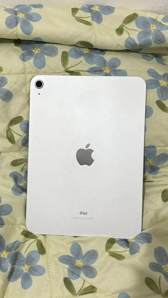 WTS iPad 10 256GB ex inter