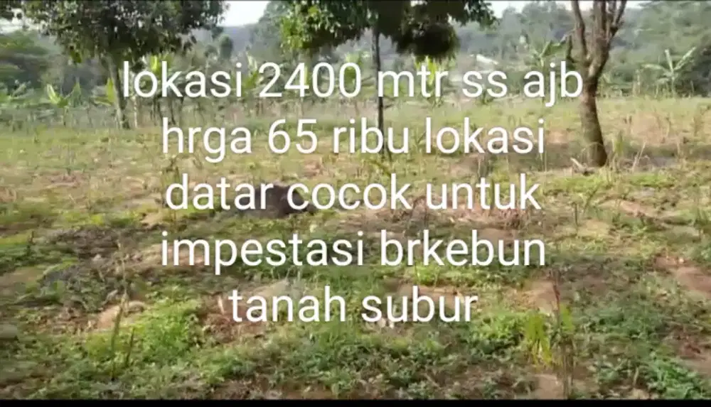 Di jual murah lhan tanah darat lt 2400 mtr ss ajb lokasi datar