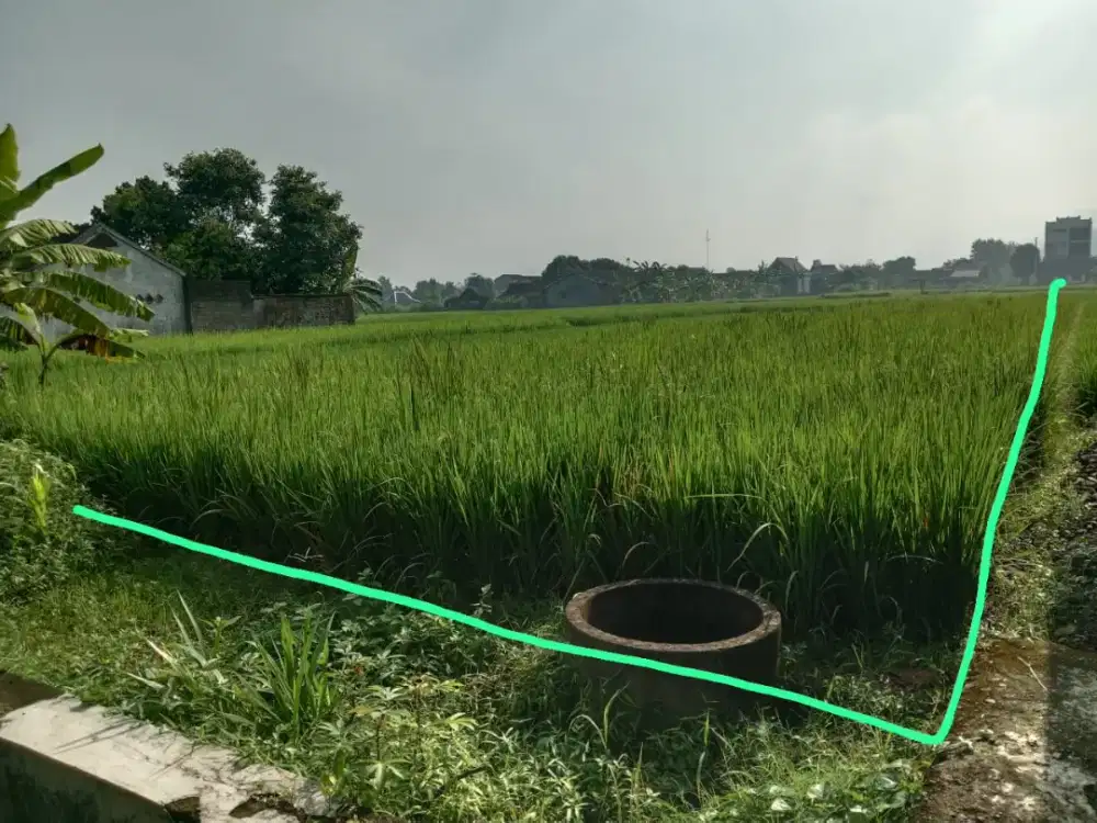 DIJUAL TANAH MURAH MANGKU ASPAL  UTARA JL WONOSARI  SANGAT STRATEGIS