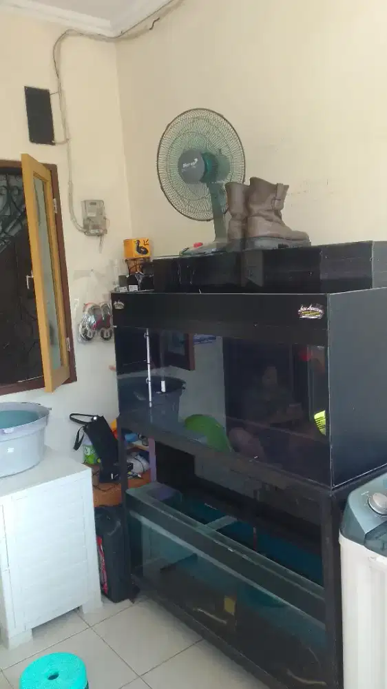 Art PP/ Nginep serius minat