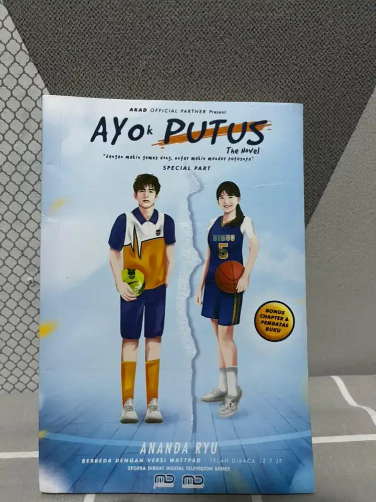 Novel Ayo Putus By Anada Ryu