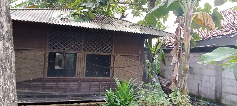 Tanah produktif untuk petani pemula