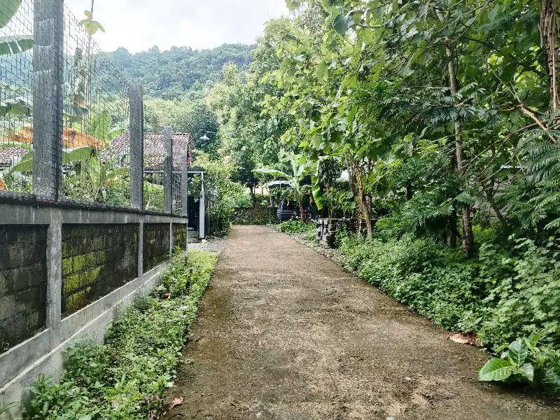 Dijual tanah pekarangan di prambanan timur suasana kawasaan pedesaan