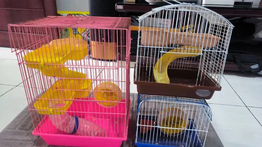 Kandang Bekas untuk Hamster
