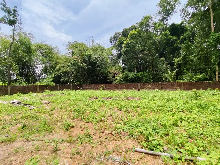 DIJUAL TANAH PEKARANGAN DI SLEMAN DEKAT CANDI BOKO PRAMBANAN