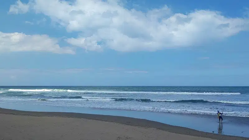 TANAH LOS PANTAI PREMIUM PEKUTATAN 1 HEKTAR,