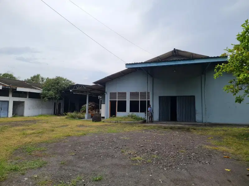 Dijual Tanah di Kaligawe, Sayung, Demak - Semarang