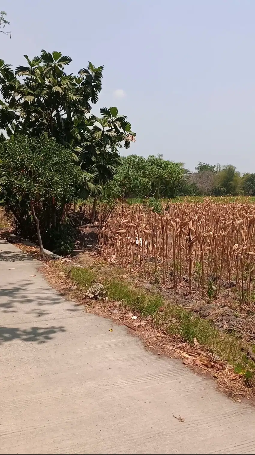 Tanah ZONA INDUSTRI Ploso Jombang