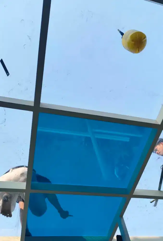 Jasa pasang Stiker kaca Gedung