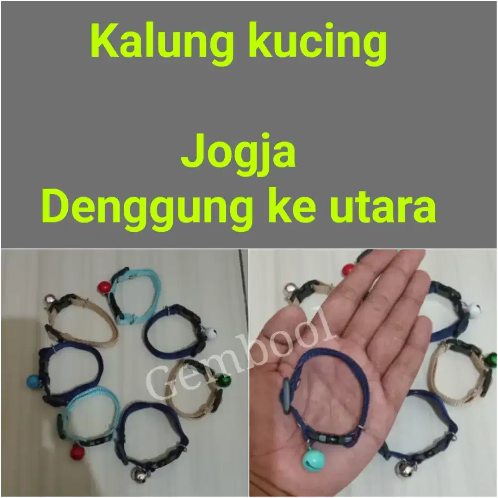 Kalung kucing 5ribuan
