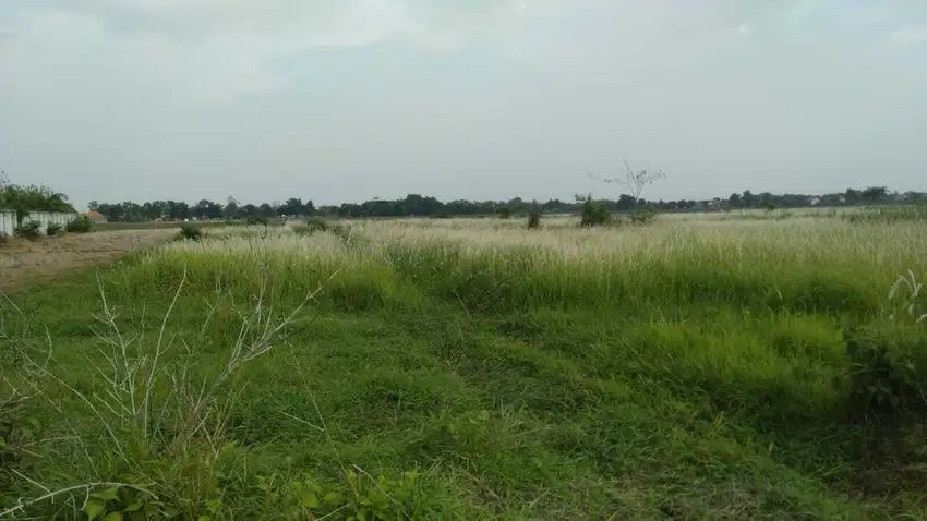 Tanah Kavling Lahan berlokasi di Brebes Jawa Tengah
