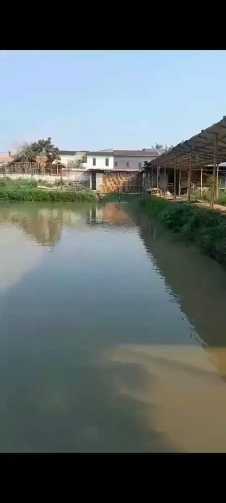 Dijual Tambak Ikan lokasi di Babakan Asem, Teluk Naga, Kab. Tangerang