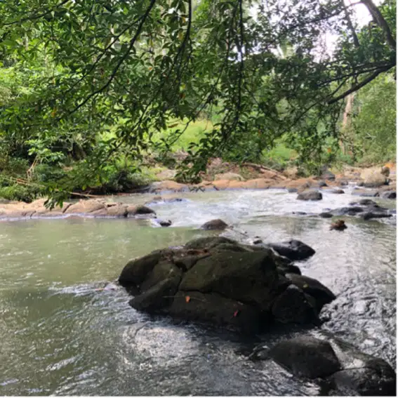 Di jual tanah kebun los sungai