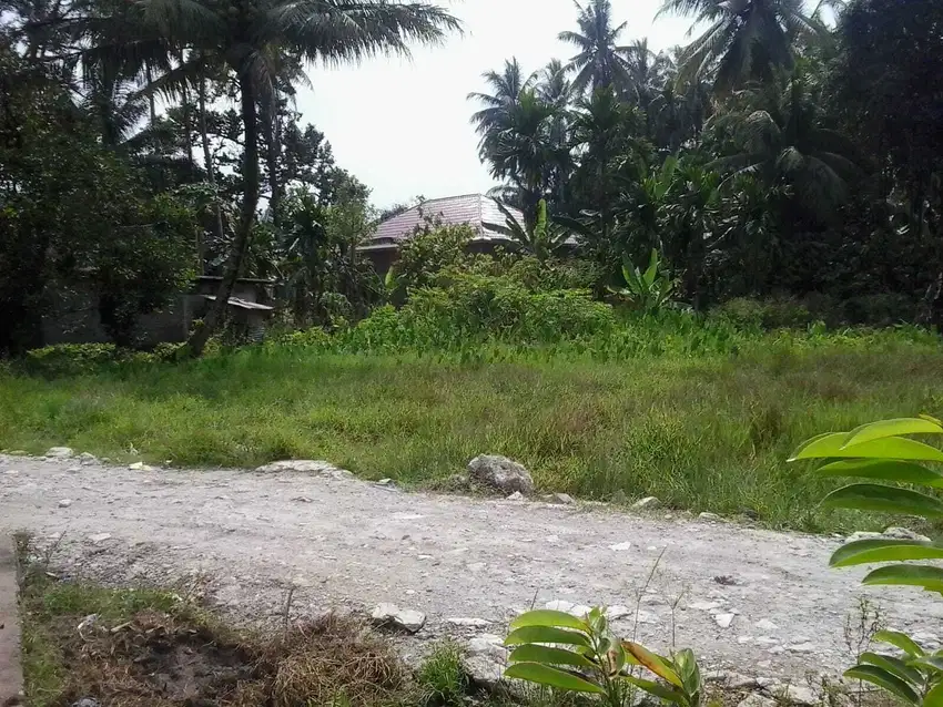 Tanah SHM Strategis Untuk Perumahan Di Batang Anai