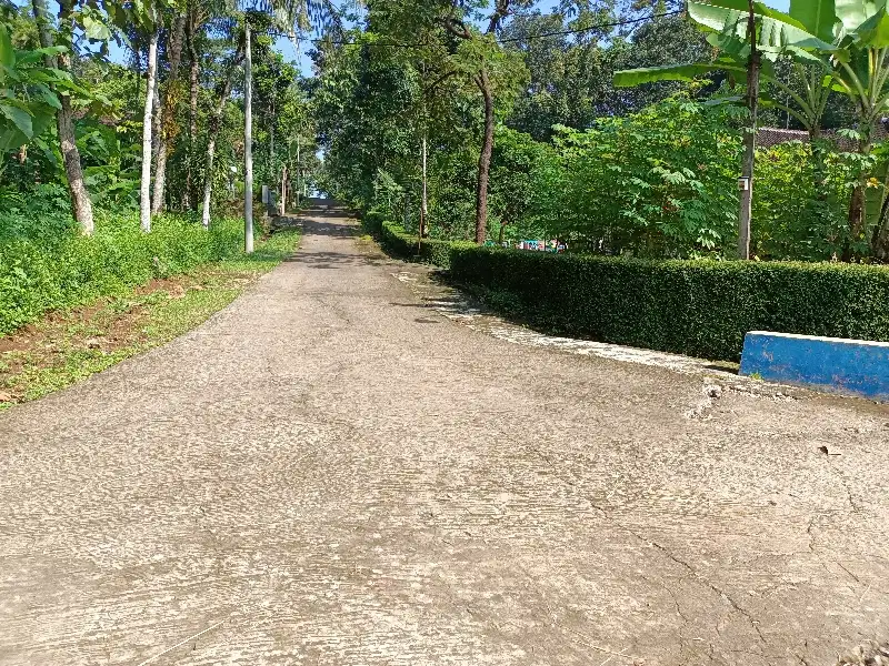 Dijual tanah dekat kantor desa dimojogedang