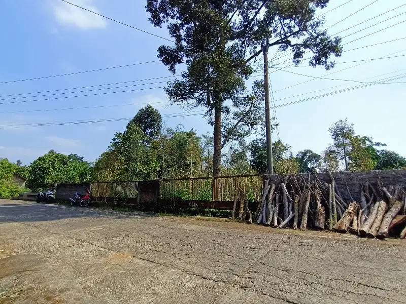 Kebun durian produktif dimatesih