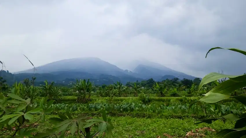 DIJUAL TANAH DI KAKI GUNUNG SALAK CIJERUK, COCOK UNTUK VILLA & USAHA