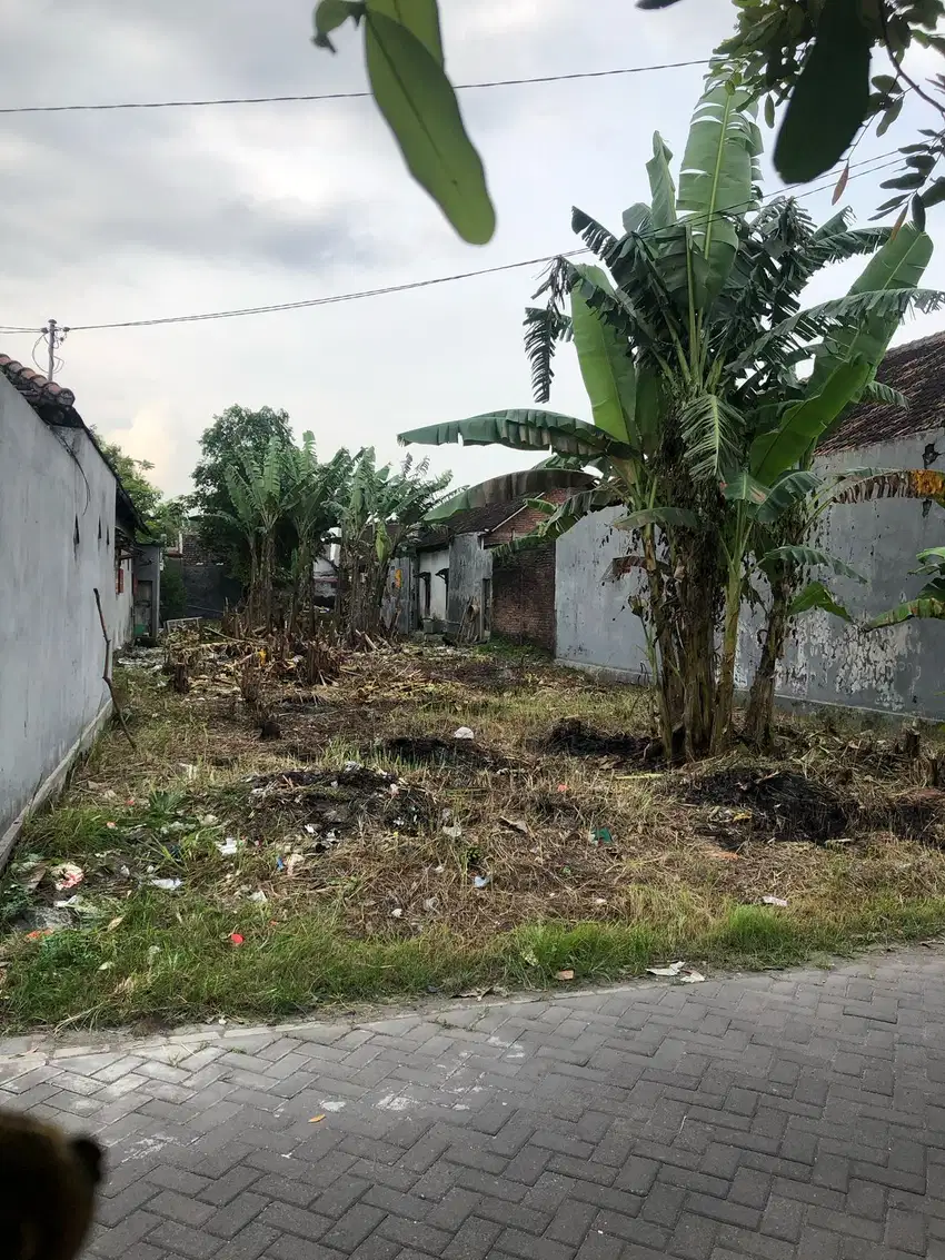 DIJUAL TANAH KAVLING DI SIDOARJO