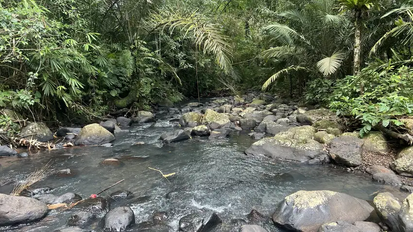 Tanah murah los sungai view jungle cocok untuk villa atau hunian