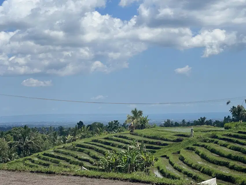 Di jual tanah cocok untuk villa atau hunian pribadi view sawah