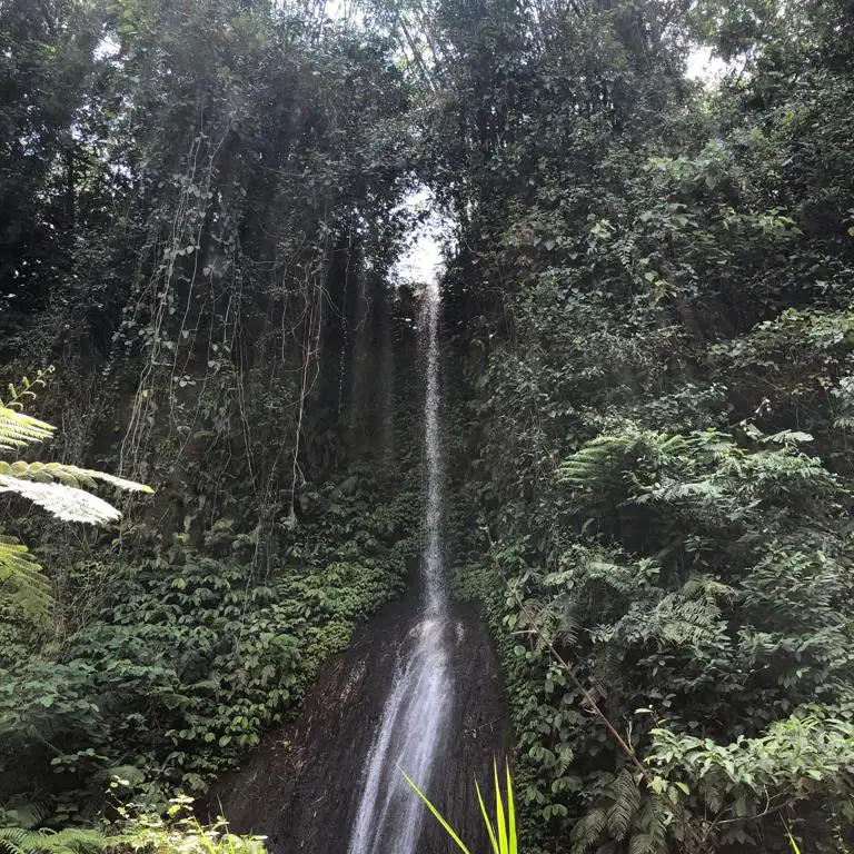 Tanah kebun view air terjun ,sawah dan jungle di tabanan