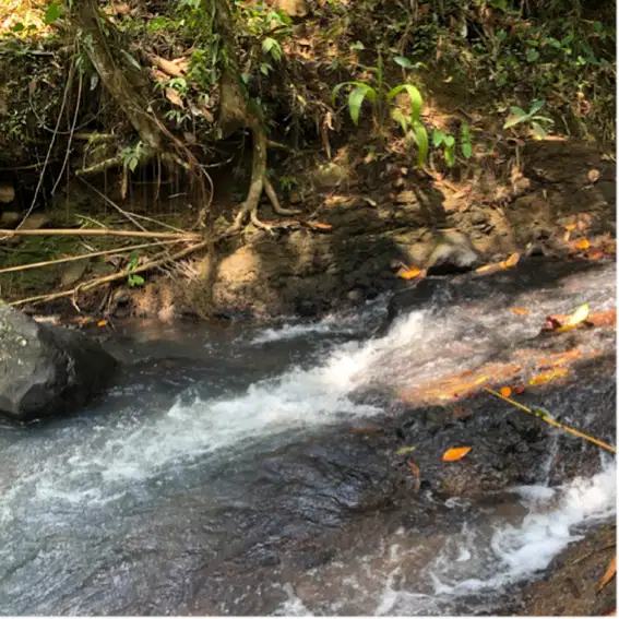 tanah kebun murah di tabanan langsung sungai
