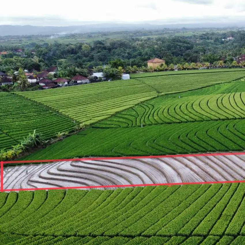 Tanah di kawasan villa deket pantai di tabanan