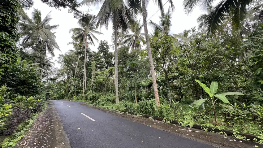 Di jual tanah kebun datar pinggir jalan aspal dekat kota tabanan